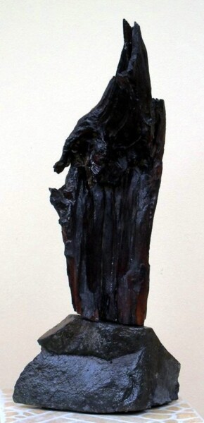 Skulptur mit dem Titel "Observation" von Dan Civa, Original-Kunstwerk, Holz