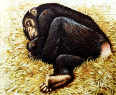 Schilderij getiteld "Chimpanzee sleeping…" door Dan Civa, Origineel Kunstwerk, Olie
