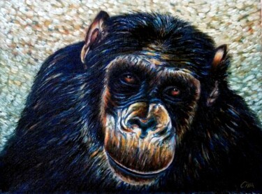 Pittura intitolato "Chimpanzee portrait…" da Dan Civa, Opera d'arte originale, Olio