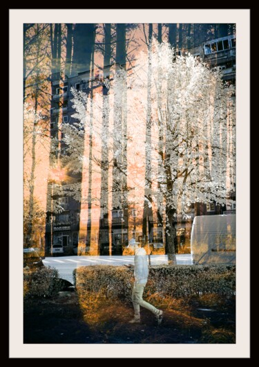 Fotografia zatytułowany „Sunny Day” autorstwa Dan Lavric, Oryginalna praca, Fotografia cyfrowa