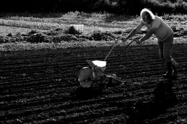 Fotografia zatytułowany „Biotravail” autorstwa Daniel Thomas, Oryginalna praca, Fotografia cyfrowa Zamontowany na Drewniana…