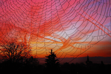 Photographie intitulée "Toile en rouge" par Dana Berthelot, Œuvre d'art originale, Photographie numérique