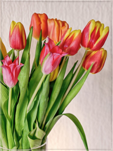 Fotografia intitulada "Tulipes" por Dana Berthelot, Obras de arte originais, Fotografia digital