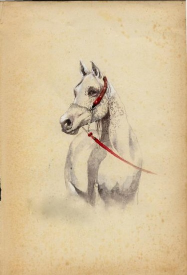 Pittura intitolato "Horse study 1" da Dana Tomsa Oberhoffer, Opera d'arte originale