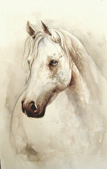 Pittura intitolato "Horse study" da Dana Tomsa Oberhoffer, Opera d'arte originale