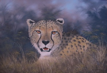 Painting titled "Cheetah Study" by Dane Willers, Original Artwork, Oil
