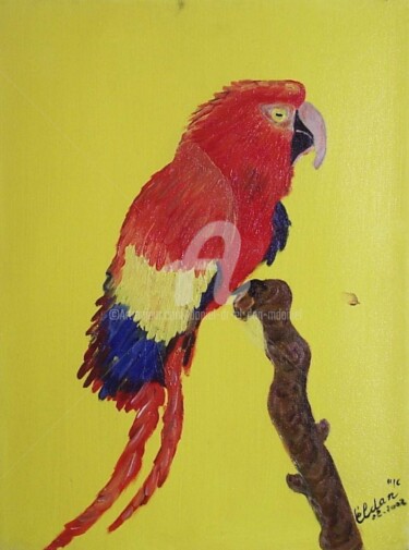 Peinture intitulée "Le Perroquet" par Daniel Dr. El Dan (Mdaniel), Œuvre d'art originale, Huile