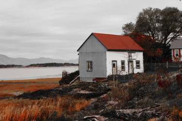 Photographie intitulée "Isle-aux-grues" par Daniel Gaudin, Œuvre d'art originale