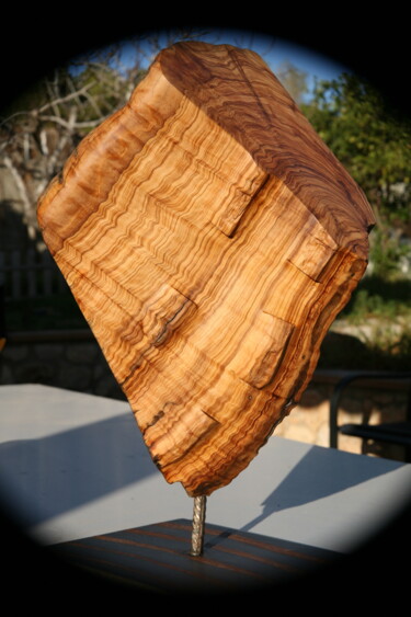 Skulptur mit dem Titel "Olivera 4 dimensions" von Daniel Grenzing, Original-Kunstwerk, Holz