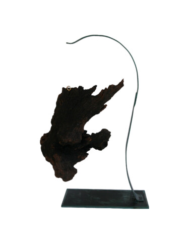 Скульптура под названием "Reptoriles" - Daniel Grenzing, Подлинное произведение искусства, Дерево