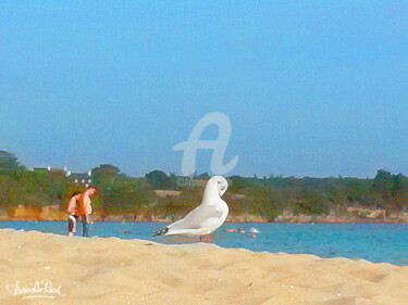 Arts numériques intitulée "Mouette moqueuse" par Daniel Le Page (Dan Ar Pach), Œuvre d'art originale, Peinture numérique