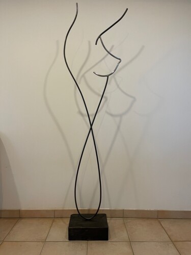Sculpture titled "BAYA" by Daniel Perreu, Original Artwork, Metals