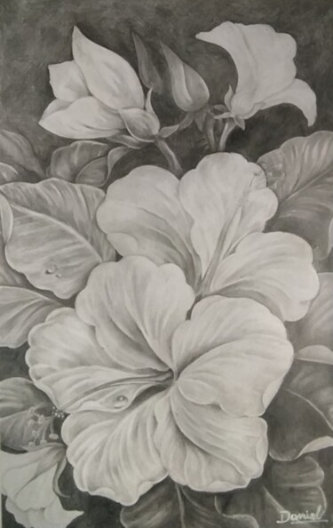 Dessin intitulée "Flores a lápiz" par Daniel Portales, Œuvre d'art originale, Crayon