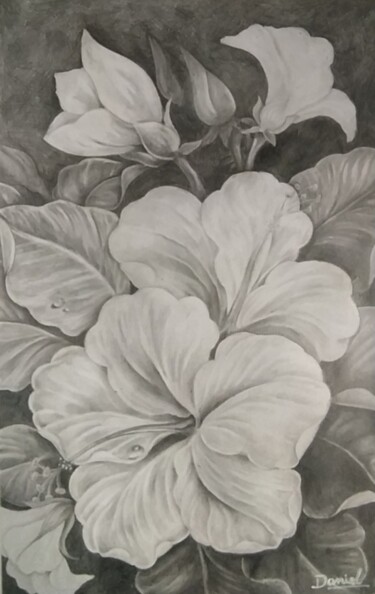 Drawing titled "Flores a lápiz" by Daniel Portales, Original Artwork, Pencil