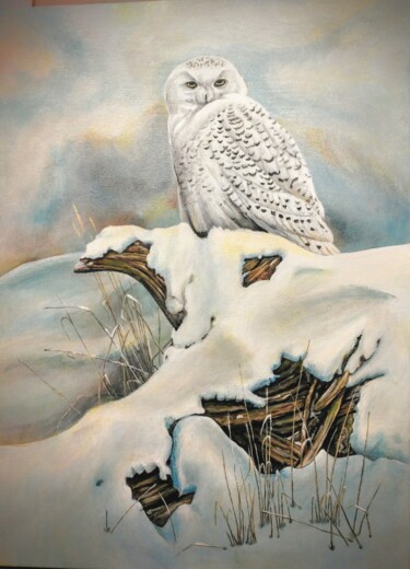 Ζωγραφική με τίτλο "Harfang des neiges" από Daniel Servant, Αυθεντικά έργα τέχνης, Ακρυλικό Τοποθετήθηκε στο Ξύλινο φορείο σ…