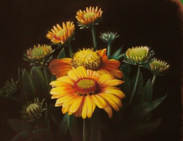 Dessin intitulée "Les gaillardes" par Daniel Servant, Œuvre d'art originale, Pastel