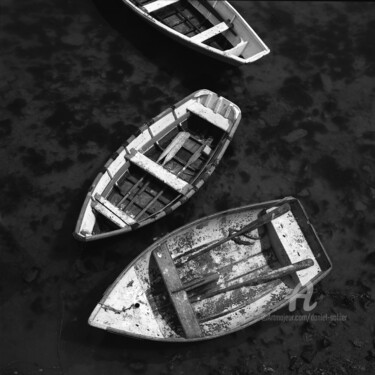 "Trio" başlıklı Fotoğraf Daniel Sohier tarafından, Orijinal sanat, Analog Fotoğrafçılık Alüminyum üzerine monte edilmiş