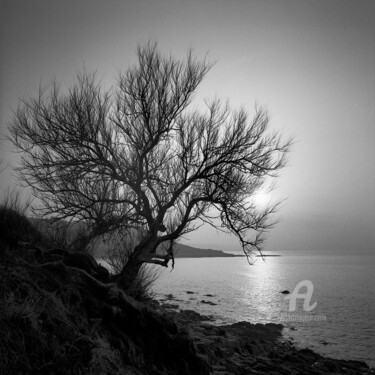 Photography titled "Littoral" by Daniel Sohier, Original Artwork, Analog photography Mounted on Aluminium