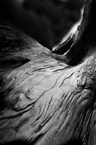 Photographie intitulée "CORTECCIA LIQUIDA" par Antonio De Angelis, Œuvre d'art originale, Photographie argentique