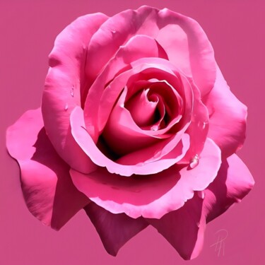 Photographie intitulée "Rosa" par Daniela La Rovere, Œuvre d'art originale, Photographie manipulée