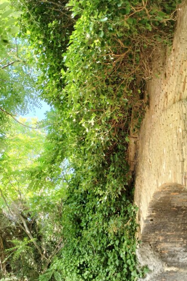 Fotografia intitolato "Treccia di verde ed…" da Daniela La Rovere, Opera d'arte originale, Fotografia digitale