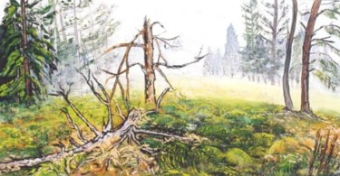 Painting titled "L'arbre brisé" by Kévin Blot, Original Artwork, Oil