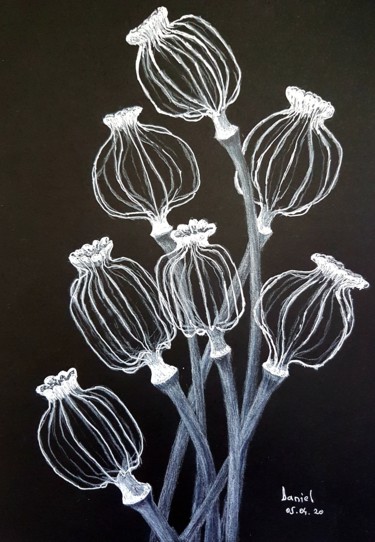 Still life Disegno intitolato "Still life" da Daniel Darie, Opera d'arte originale, Matita