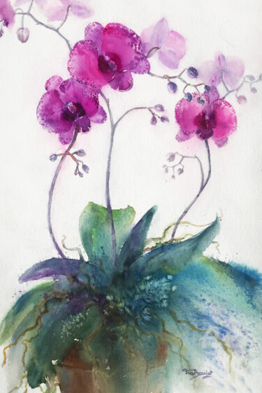 Pittura intitolato "Orchidée rose" da Danièle Fraboulet, Opera d'arte originale, Acquarello