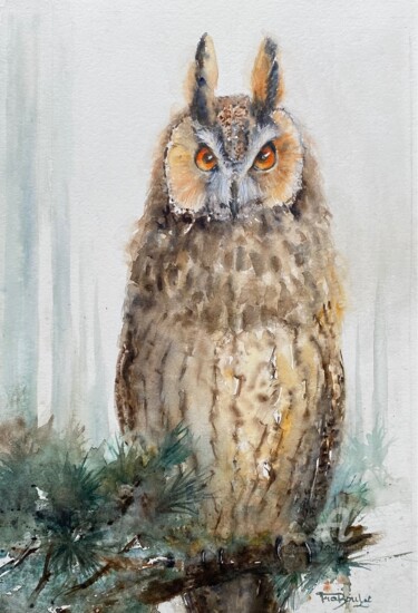 Peinture intitulée "Long heared Owl - H…" par Danièle Fraboulet, Œuvre d'art originale, Aquarelle