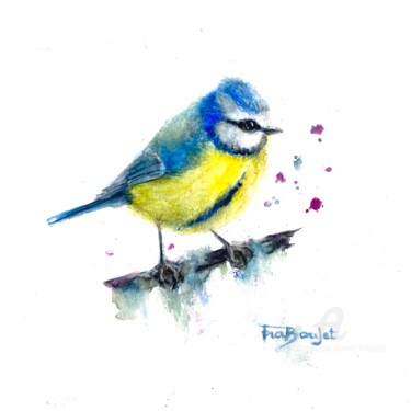 Painting titled "Mésange bleue - Blu…" by Danièle Fraboulet, Original Artwork, Watercolor