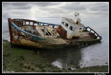 Photographie intitulée "larmo1767ok.jpg" par Daniel Hess, Œuvre d'art originale