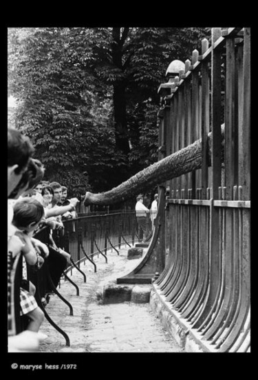 Photographie intitulée "liberté volée...2/1…" par Daniel Hess, Œuvre d'art originale