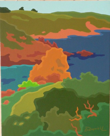 Peinture intitulée "Réserve du Cap-Sizun" par Danielle Braillon (DANIELL), Œuvre d'art originale, Huile