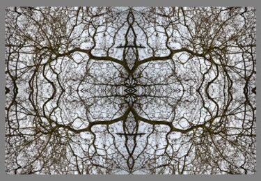 .BRODERIES VEGETALES Photographie intitulée ".BRODERIES VEGETALES" par Danielle Dubus, Œuvre d'art originale