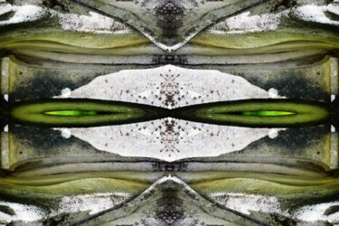 Photographie intitulée "incrustation de jade" par Danielle Dubus, Œuvre d'art originale