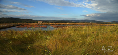 Photography titled "CAMARGUE 2" by Alain Revy, Original Artwork