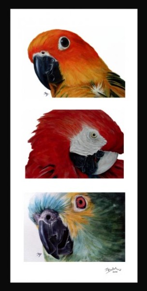 Peinture intitulée "Les trois perroquets" par Danielle Bellefroid, Œuvre d'art originale, Huile
