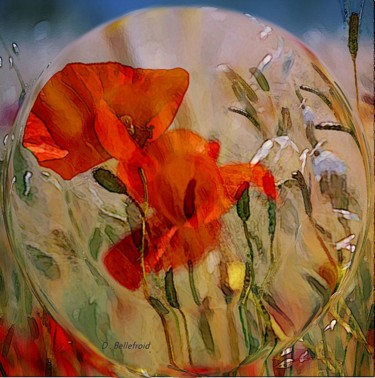 Digital Arts titled "coquelicots" by Danielle Bellefroid, Original Artwork, Digital Painting