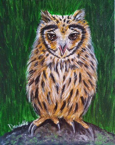 Painting titled "Owl 3" by Danielle Siauw, Original Artwork, Acrylic Mounted on Wood Panel
