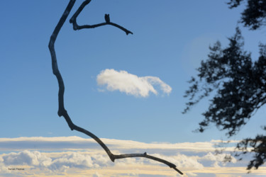 Photographie intitulée "croque nuage" par Daniel Meynial, Œuvre d'art originale, Photographie numérique