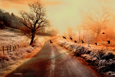 Photography titled "investir la route" by Daniel Meynial, Original Artwork, Digital Photography