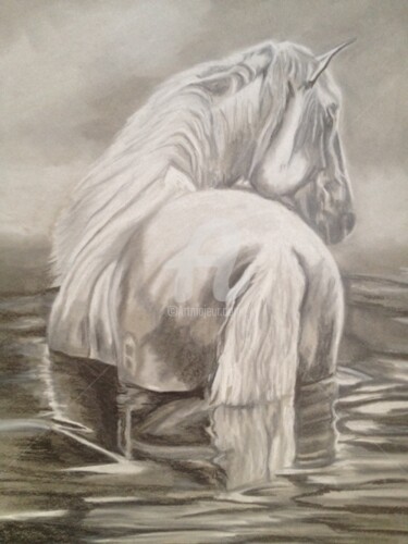 Drawing titled ""LE BAIN D'UN CHEVA…" by Danygil, Original Artwork, Pencil