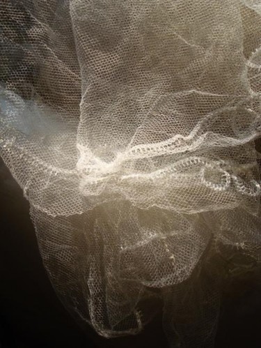 Photography titled "Voile de tulle" by D A N ' I M A G ' I N, Original Artwork
