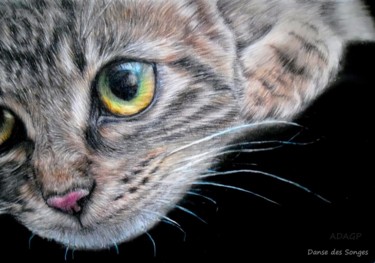 Drawing titled "Chaton portrait" by Danse Des Songes, Original Artwork, Other