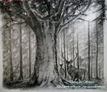 Drawing titled "Dans les bois" by Danse Des Songes, Original Artwork, Pencil