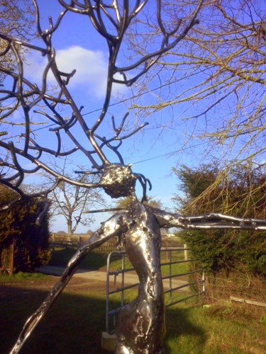 Sculpture intitulée "Hommarbre" par Didier Dantras, Œuvre d'art originale