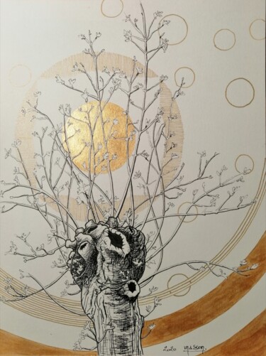 Dessin intitulée "frêne tétard" par Dany Masson, Œuvre d'art originale, Encre Monté sur Carton