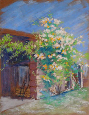 Painting titled "Grange et rosier" by Dany Masson, Original Artwork, Pastel
