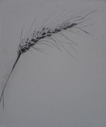 Drawing titled "#93 - A spiga" by Dany Mangion, Original Artwork, Charcoal