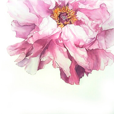 Peinture intitulée "Пион цветущий" par Daria Stolika, Œuvre d'art originale, Aquarelle Monté sur Autre panneau rigide